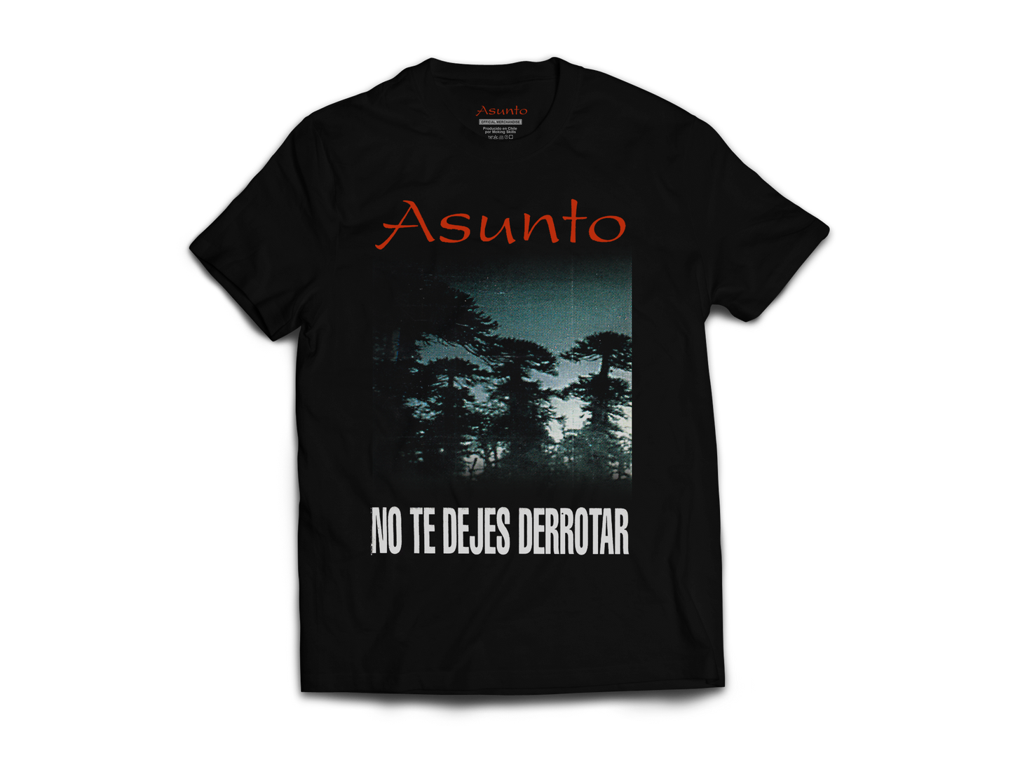 Polera Oficial Asunto - No te dejes derrotar